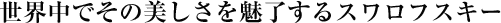 世界中でその美しさを魅了するスワロフスキー